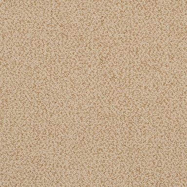 Breakers 522BK in BK13 Carpet Flooring | Fabrica